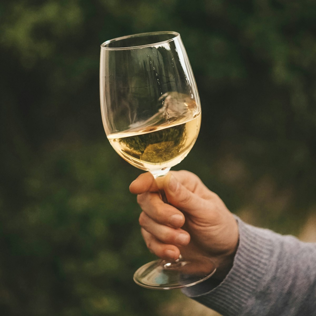 Dégustation de vin au caveau de la Régence-Balavaud